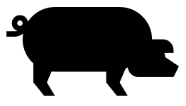 Suidae